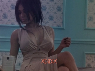 XDiDiX