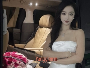 Yangqinmm