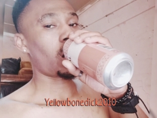 Yellowbonedick2010
