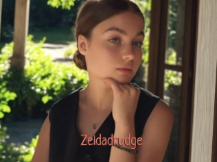 Zeldadrudge