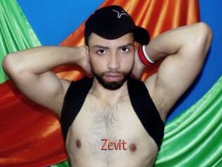 Zevit