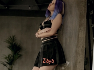 Zlaya
