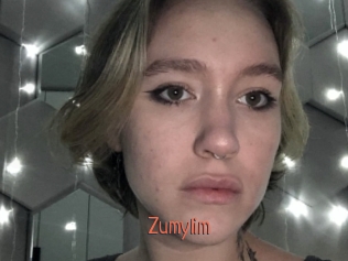 zumylim Kachou Fuzoku